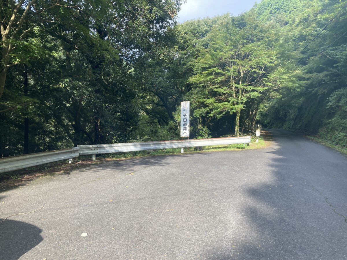 入口付近
