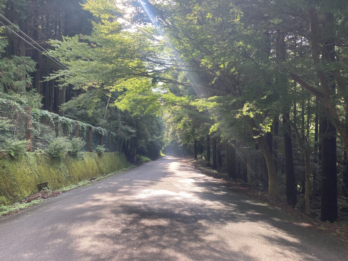 入口付近の道路2
